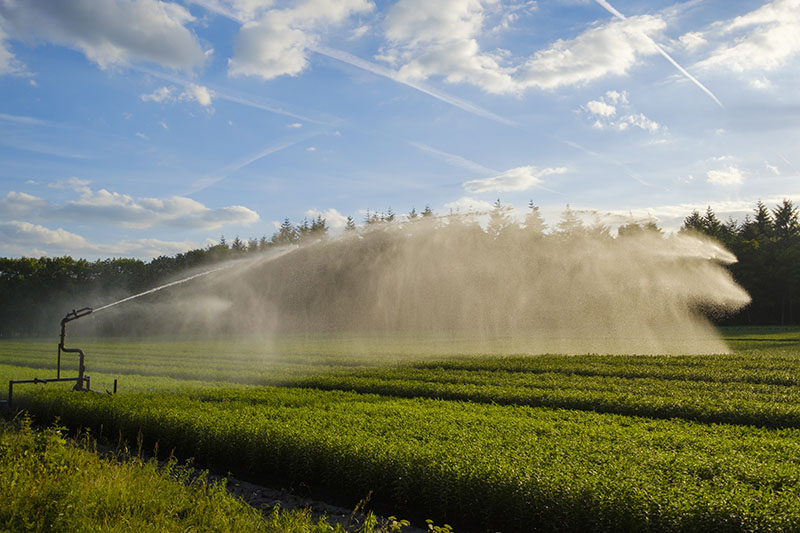 Irrigation et arrosage Sartène