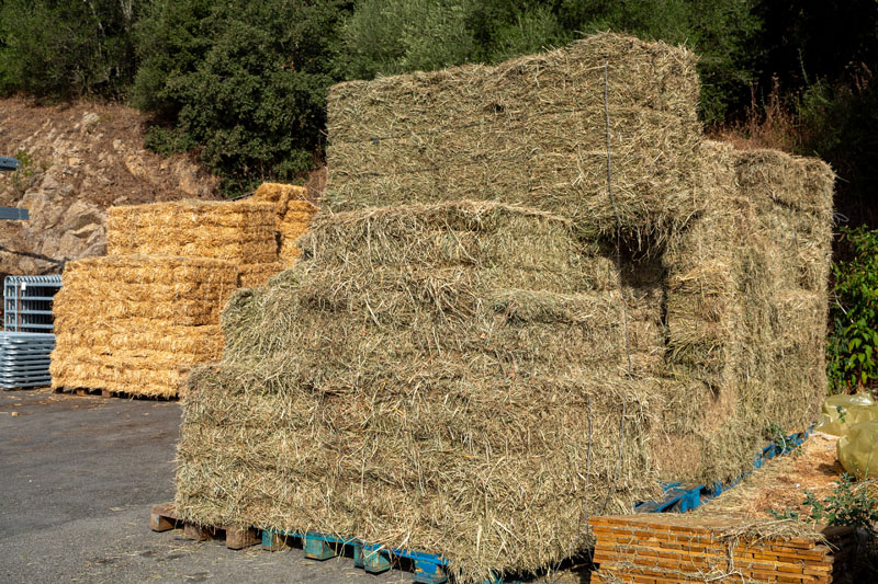 Vente aliments pour animaux Sartène