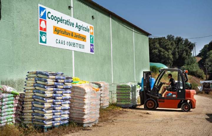 Divers produits agricoles et de jardin Corse